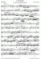 Concertino - Ensemble - Solo Flöte